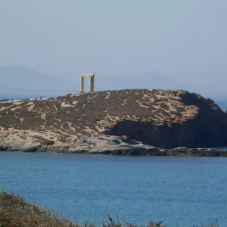 Vasiliki'S House Apartman Naxos City Kültér fotó