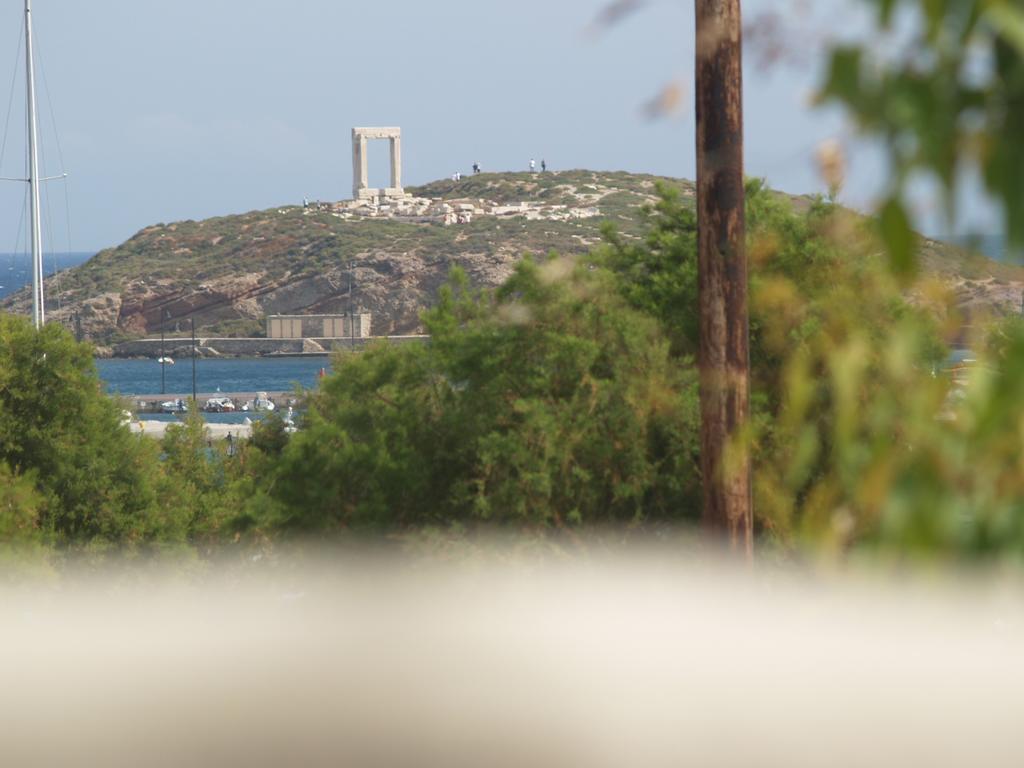 Vasiliki'S House Apartman Naxos City Kültér fotó